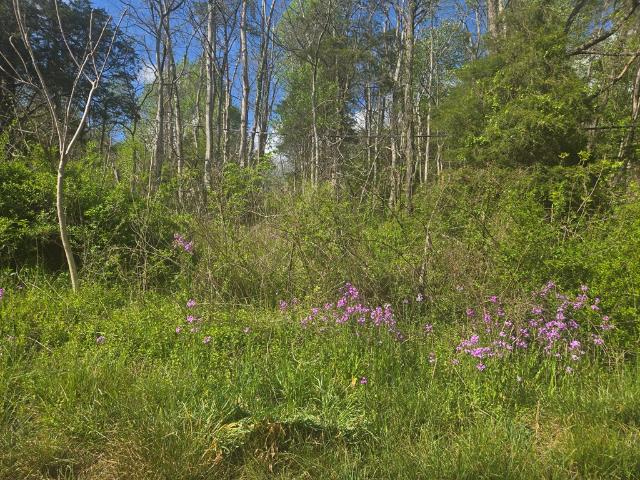 Land for sale in Virginia