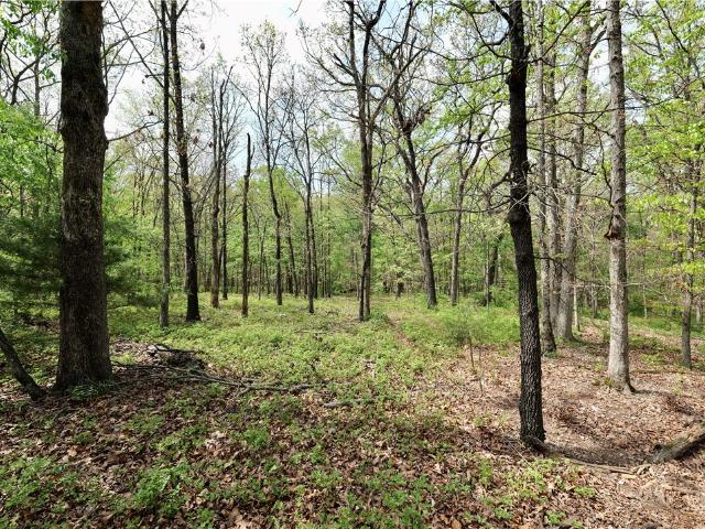 Land for sale in Ark
