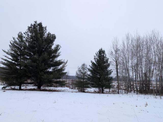 Land for sale in Todd, Minnesota