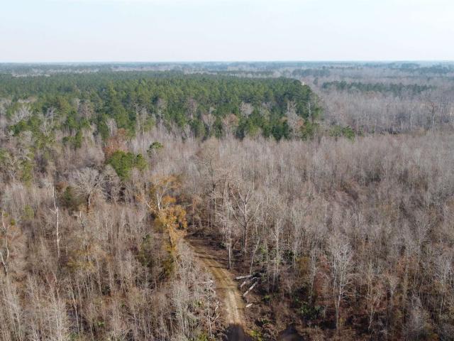 Land for sale in Ehrhardt, South Carolina