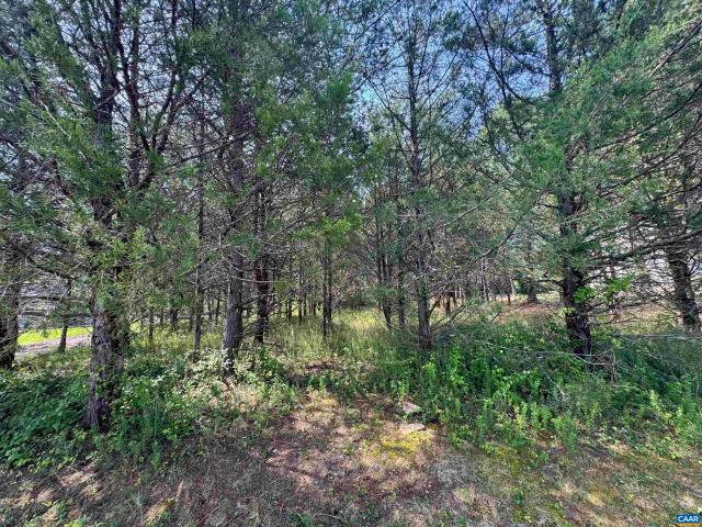 Land for sale in Virginia