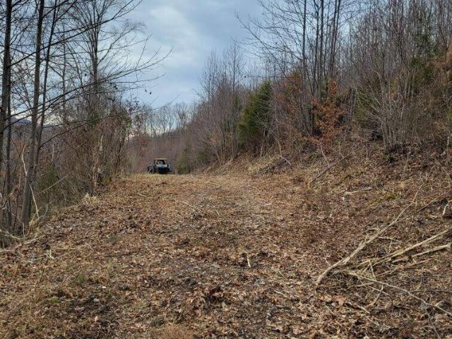 Land for sale in Virginia