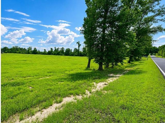 Land for sale in Pitkin, Vernon Parish