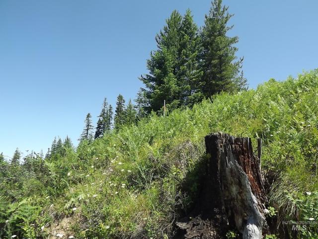 Land for sale in Pierce, Idaho