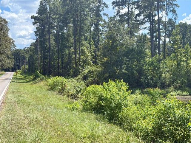 Land for sale in Dry Prong, Grant Parish