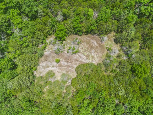 Land for sale in Cross Roads, Stone County