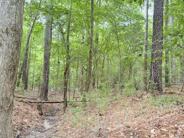 Land for sale in Jasper