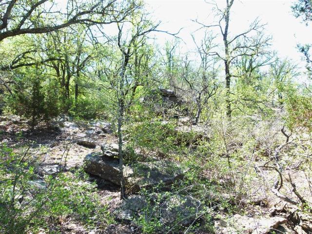 Land for sale in Texas