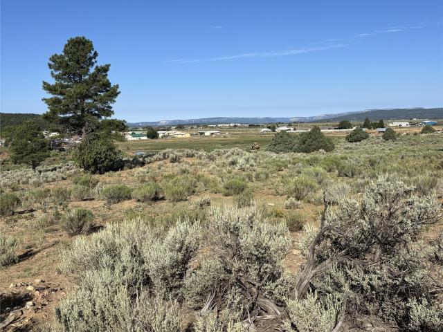 Land for sale in Los Ojos, New Mexico