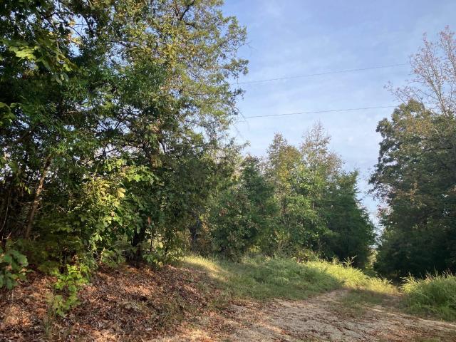 Land for sale in Hardy, Sharp County