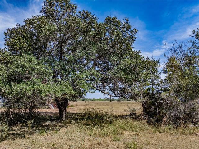 Land for sale in Fayetteville, Fayette County
