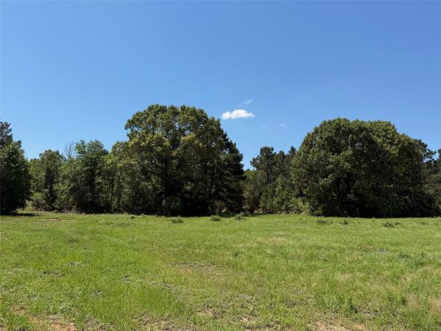 Land for sale in Leon, Texas