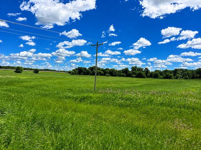 Land for sale in Bluffton, Minnesota