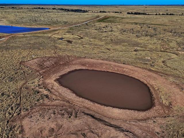 Land for sale in Clay, Texas