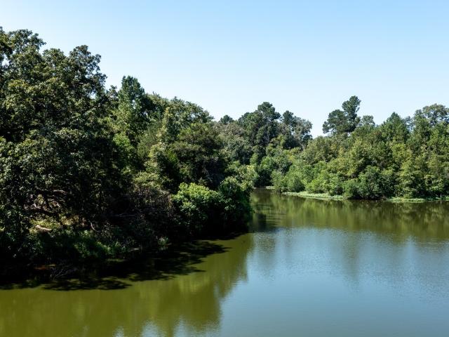 Land for sale in Shelby, Texas