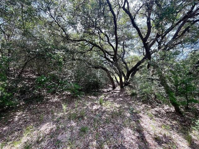 Land for sale in Sheridan, Texas