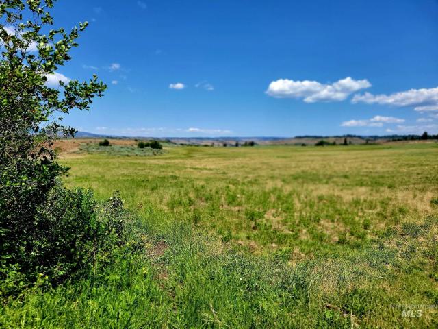 Farm for sale in Council, Idaho