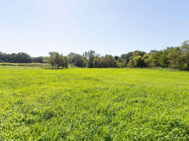 Land for sale in Unionville, Appanoose County