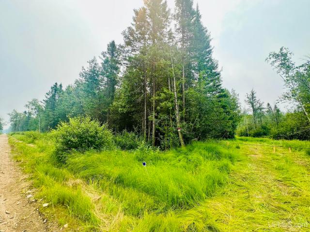 Land for sale in Michigan