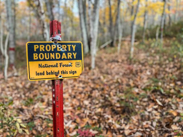 Land for sale in Virginia