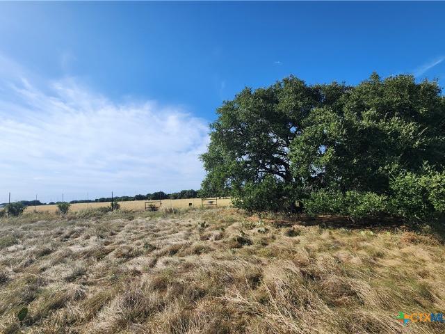 Land for sale in Kempner, Texas
