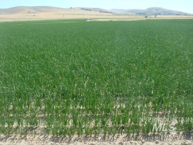 Property for sale in Weiser, Washington County