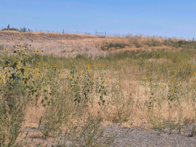 Land for sale in Weiser, Washington County
