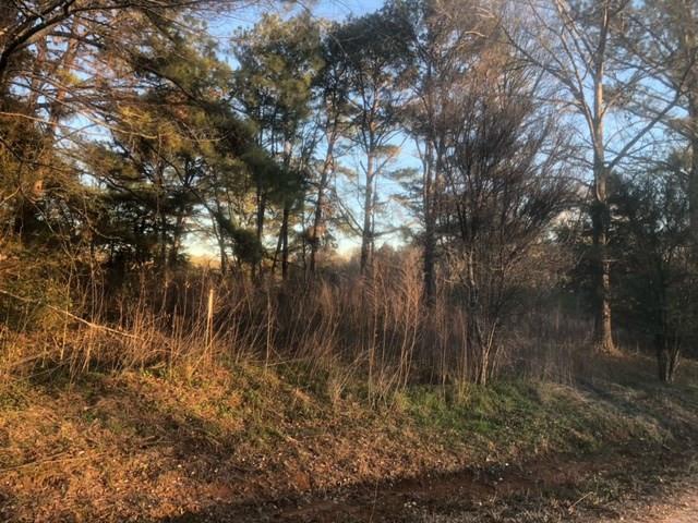Land for sale in Mccomb, Mississippi