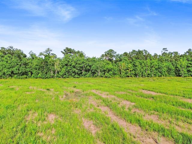 Land for sale in Chambers, Texas