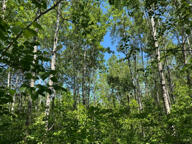 Land for sale in Foxboro, Wisconsin