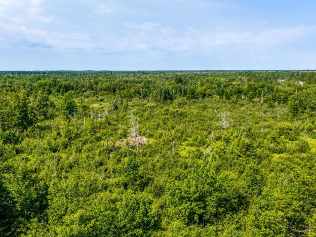 Land for sale in Beltrami, Minnesota
