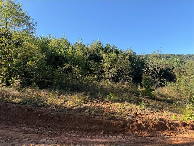 Land for sale in Alleghany, North Carolina