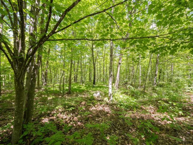 Land for sale in Longville, Minnesota