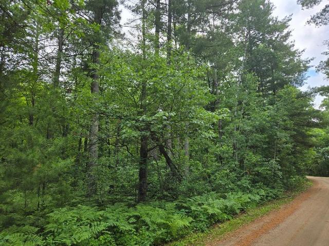 Land for sale in Federal Dam, Minnesota