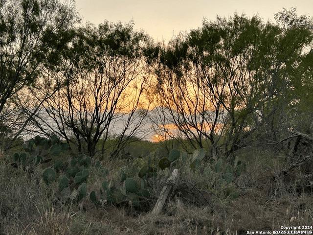 Land for sale in Poteet, Texas