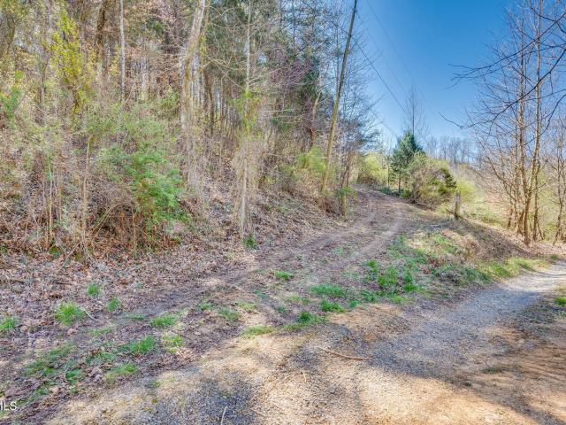 Land for sale in Virginia