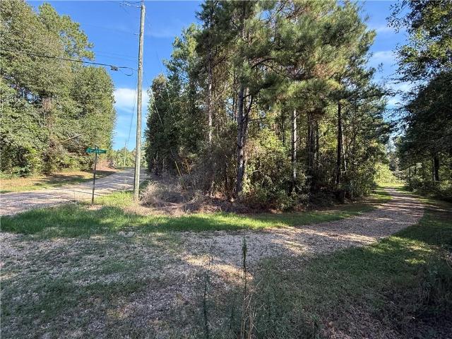 Land for sale in Amite City, Tangipahoa Parish