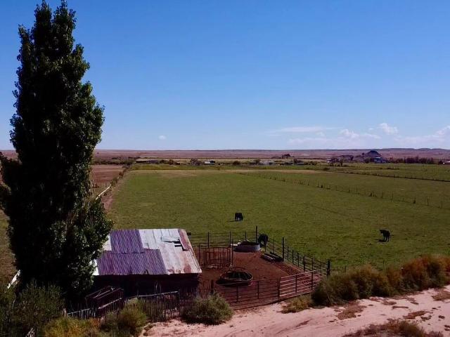 Farm for sale in Navajo, Arizona