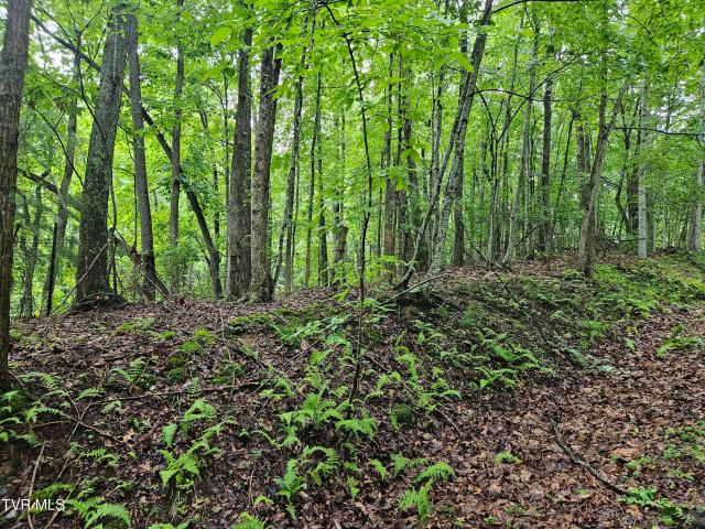 Land for sale in Virginia