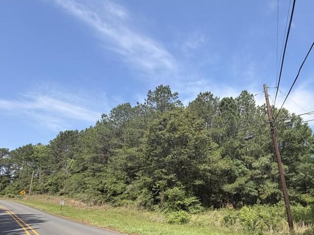 Land for sale in Leesville, Louisiana