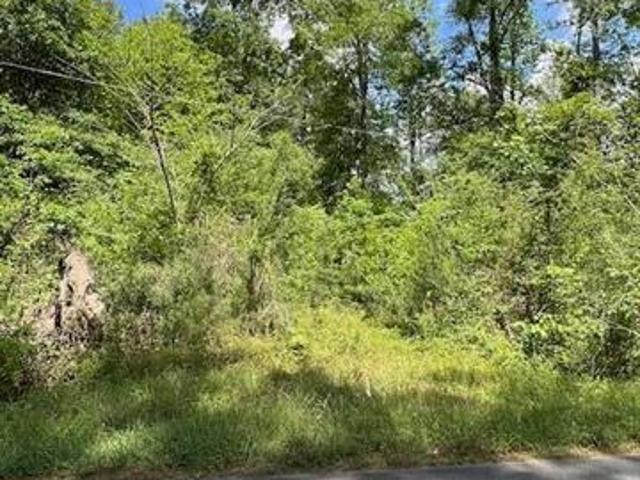 Land for sale in Leesville, Louisiana