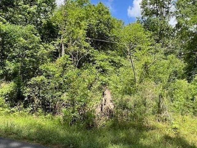 Land for sale in Leesville, Vernon Parish