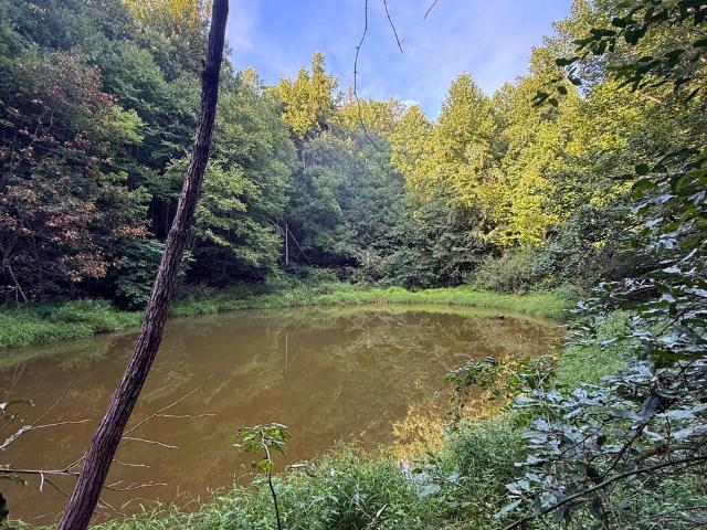 Land for sale in Virginia