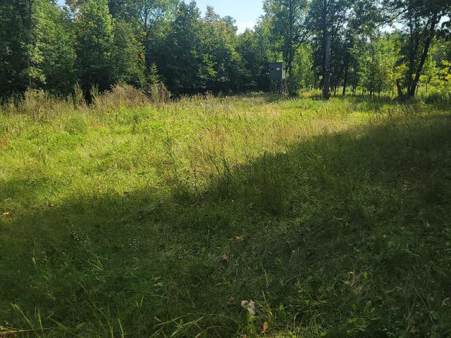 Land for sale in Richville, Minnesota