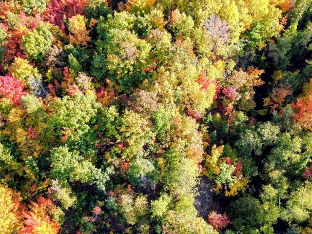 Land for sale in Houghton, Houghton County