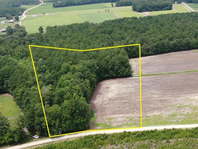 Land for sale in Galivants Ferry, South Carolina