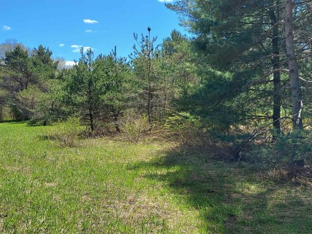 Land for sale in Michigan