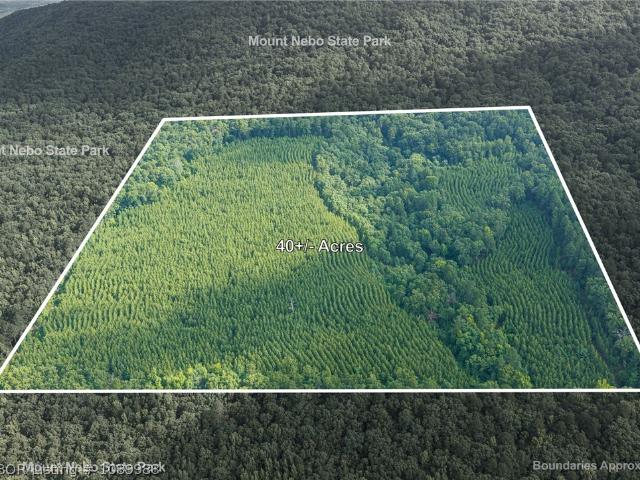 Land for sale in Ark