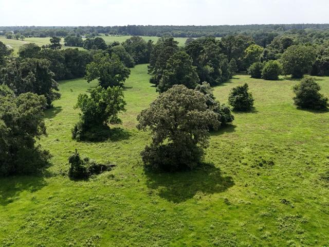 Land for sale in Walker, Texas