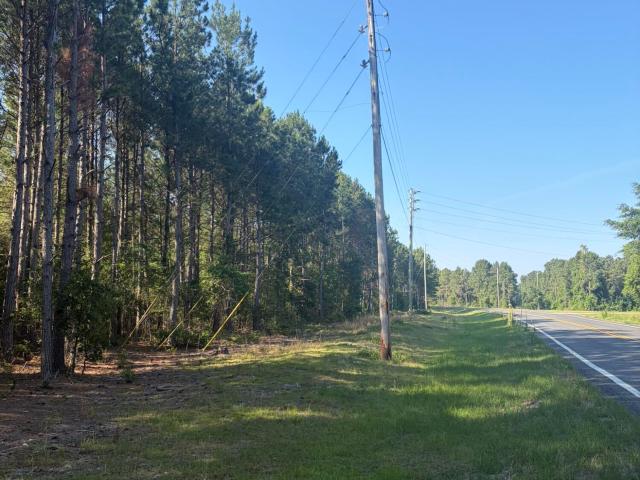 Land for sale in Ellerbe, North Carolina